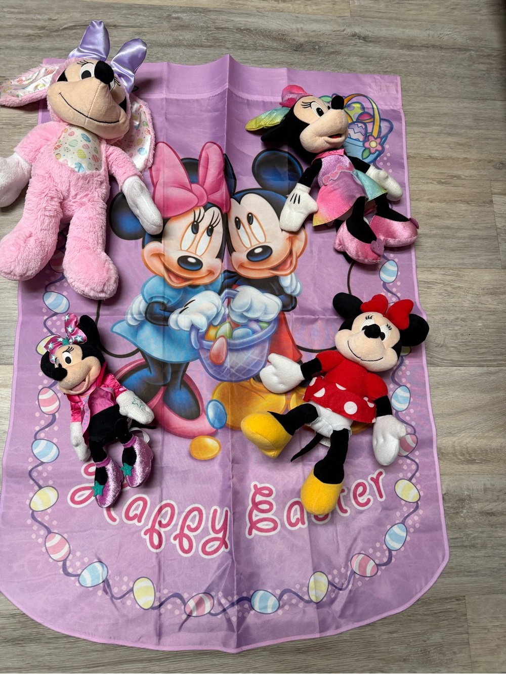 Minnie Mouse 5 Piece Bundle